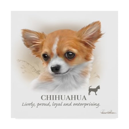 Howard Robinson 'Chihuahua' Canvas Art,35x35